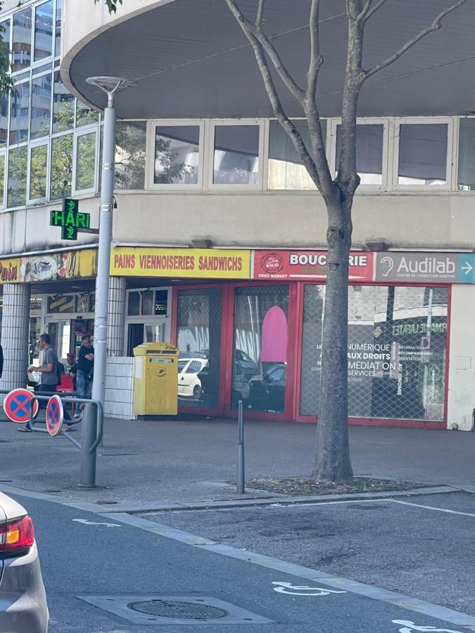 Appartement 3 Pieces Pour 1 A 5 Voyageurs Rillieux-la-Pape Eksteriør bilde